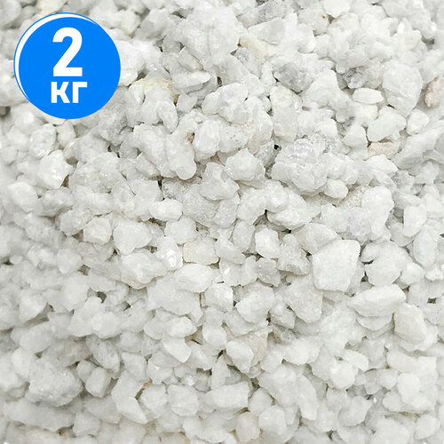 ������ ������ ����������� ����� ��� ��������, ����������� � ��������, Zoo One, ��������� ��������, 