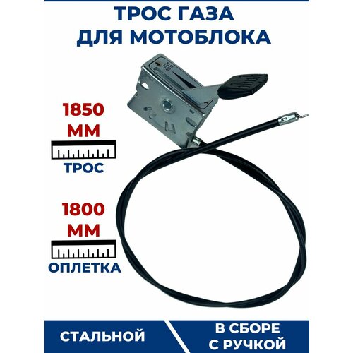 ������ ������ ���� ���� ��� ��������� 1800 ��, � ����� � ������ ����