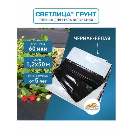 ������ ������ ������ ��� ������������� �������� ����� 1,2x50 �, 60 ���, �������� �������� ����