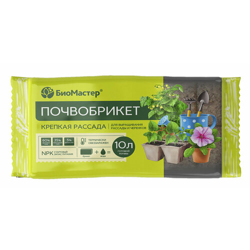 ������ ������ ����������� ������� ������� 10 � ����