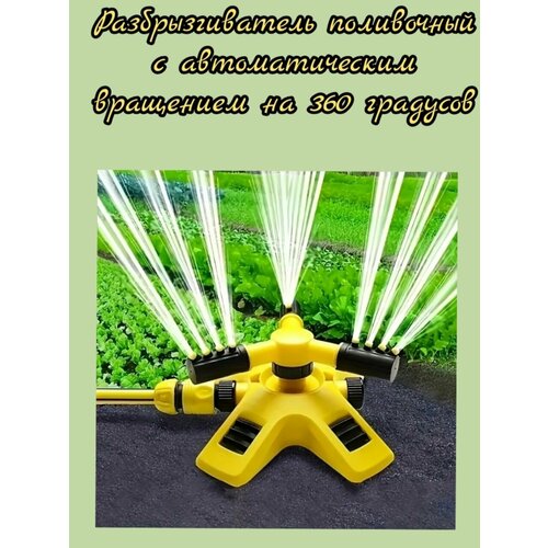 ������ ������ ��������������� ��� ������ ����