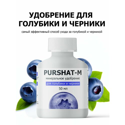 ������ ������ ��������� ��� �������� � ������� ������ (Purshat) 50 �� ����