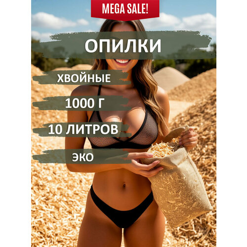 ������ ������ ������ �� �������� ���-����, ������� ������������� � ������ 1000 � ����