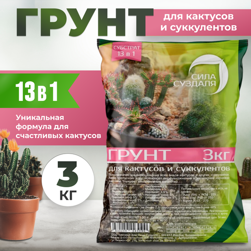 ������ ������ ����� ��� �������� � ����������� 13 �1 ���� �������/ ���������������� ��������, 3 � ����