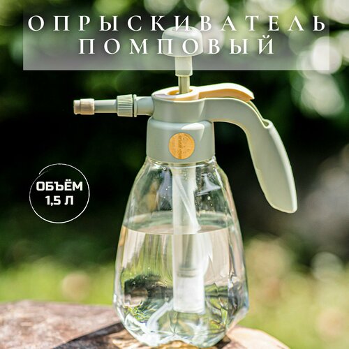 ������ ������ ������������� 1,5 ����� ����