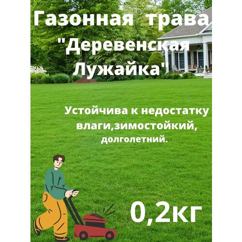 ������ ������ ������ 