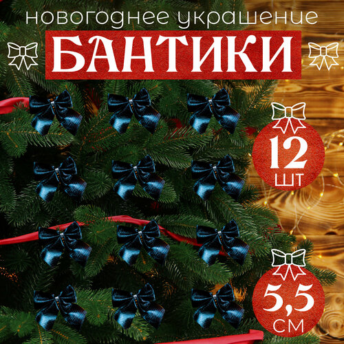 ������ ������ ����� �� ���� ������� 12�� 5,5�� ����