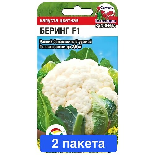 ������ ������ ������ ������ ��������� ��� 