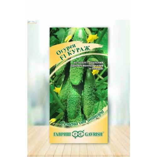 ������ ������ ������ ������� �����, �����������, ������������� ����