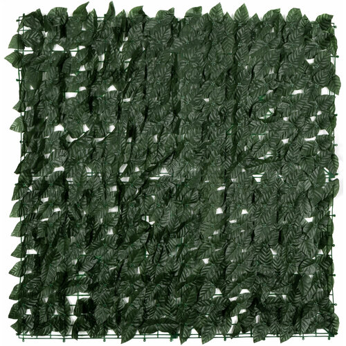 ������ ������ ����� ��� ������������� ������ 