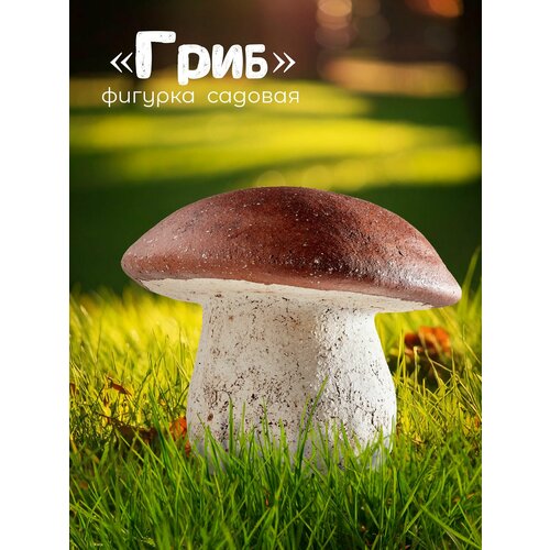 ������ ������ ������� ������� ���� ����