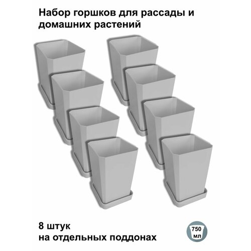 ������ ������ ������ ��� ������� � ������, 8 ���� �� ��������� ��������, ����� ����