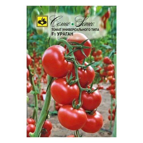 ������ ������ ������ ����� ������ F1 0.1� ����� ������ (�����) ����