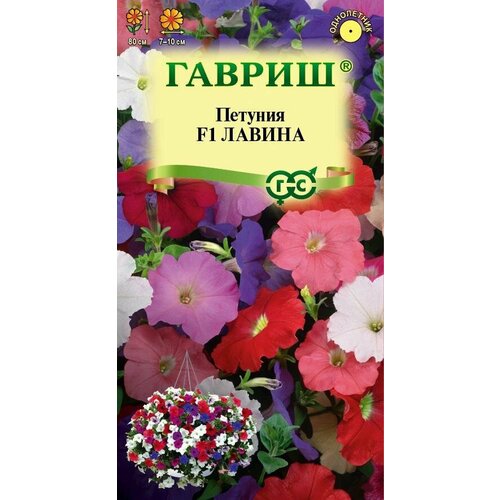 ������ ������ ������ ������� ������ ��������� 7�� ��� ����� 80�� (������) ����