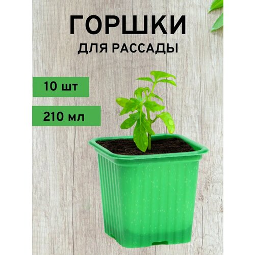 ������ ������ ������ ��� �������, 210 ��, 10 ��. ����