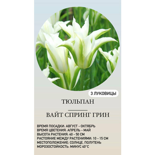 ������ ������ ������� �������� ����������� ������ ����