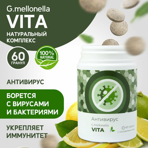 ������ ������ ������� ���� - �������� �� ������ � ��������, ��� ����������, ������������ ���� � ��� 60 ������. ����