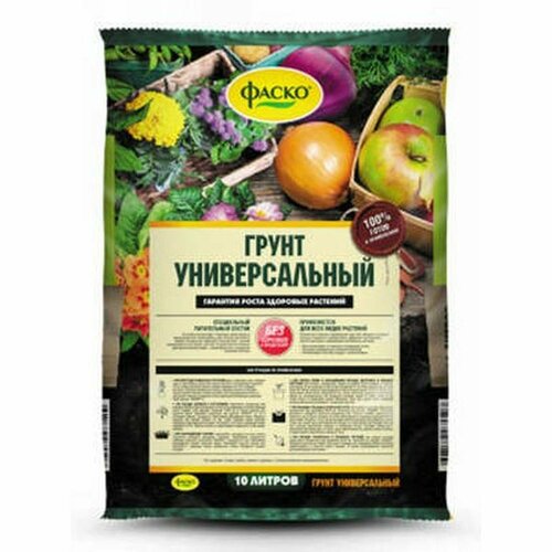 ������ ������ ����� ����� ������������� 10� ����� ����