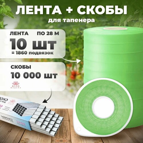 ������ ������ ����� ��� �������� / ��������� / ����� ��� �������� ��� �������� �������� 10�� �� 28� + ����� 10.000 �� ����