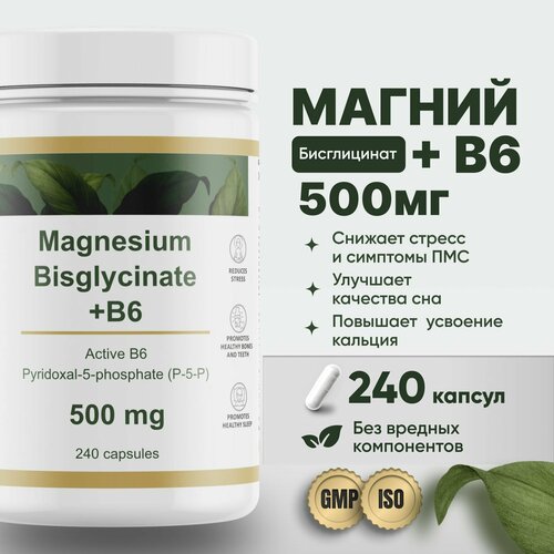     500     B6 (p-5-p) 240  Restartbio magnesium chelate bisglycinate b6      -     , -,   