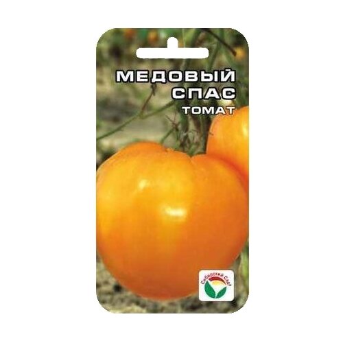 ������ ������ ������ ��������� ��� ����� ������� ���� 20 ��. ����