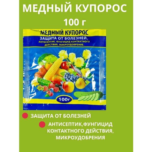 ������ ������ ������ ������� 100� ����