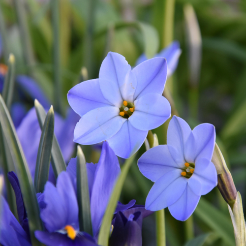 ������ ������ ������ ��������� ���� ������ 10 ��. ����