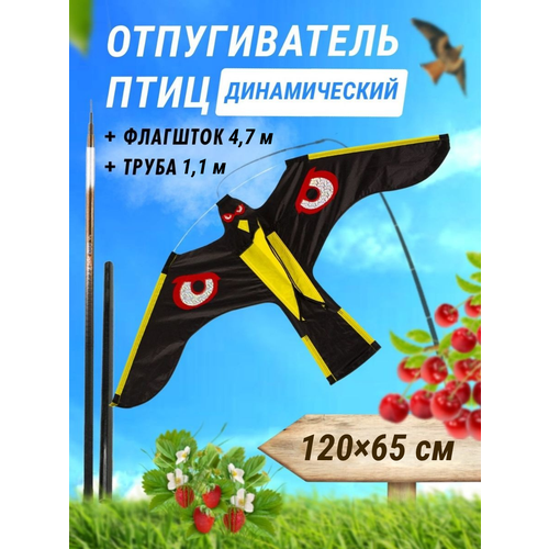 ������ ������ ������������ ���� �������� ��������� ���� ������ �������� 120*65 �� + �������� 4,7 � ����