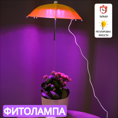 ������ ������ ��������� ��� ��������, ������ � ������� ����