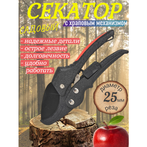 ������ ������ ������� ������� � �������� ���������� ����