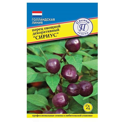 ������ ������ ������/������� ������/ ������ ����� ������� ������������ ������ ����