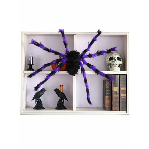 ������ ������ ���������� �������� ���� 75 �� �������� ���������� ����