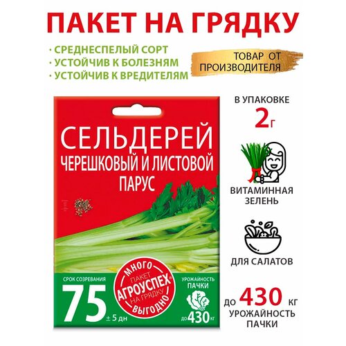 ������ ������ ������ ��������� ����� ���������� � �������� 2� ����