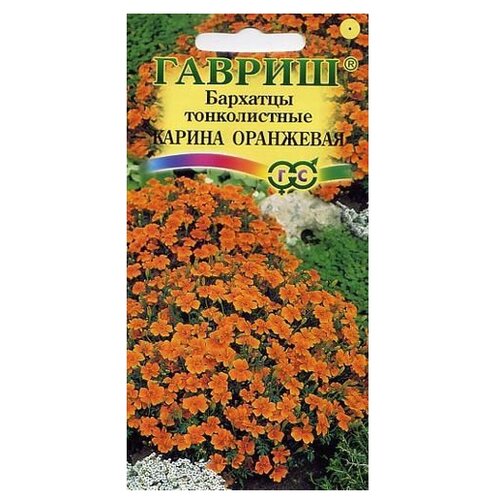 ������ ������ ������ ������ �������� ������������ (�������) ������ ��������� 0,05 �, 10 ��. ����