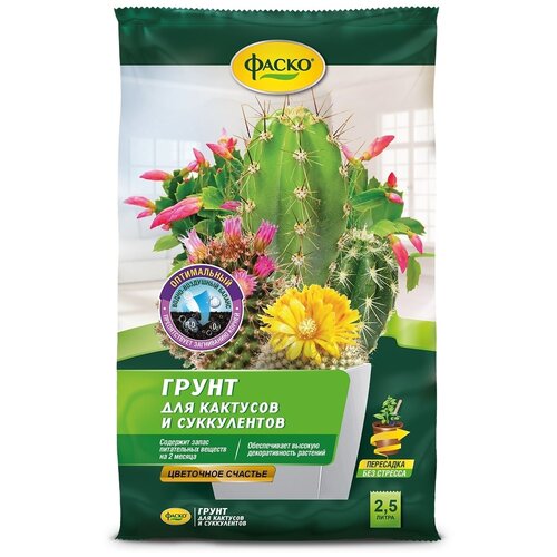 ������ ������ ����� ��� �������� ����� ��������� ������� 2,5� ����