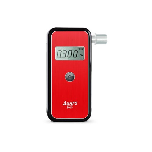 ������ ������ ���������� ���������������� ����������� ����� �-010 (Dingo E-010) ����