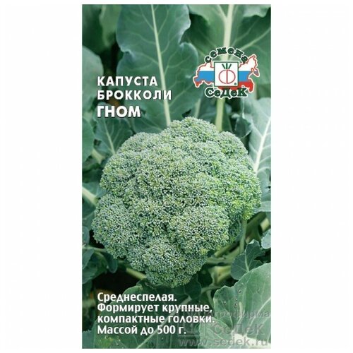 ������ ������ ������� �������� ���� ����