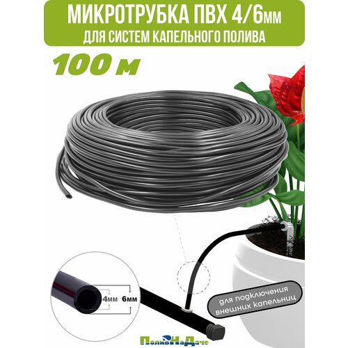 ������ ������ ������(�����) ��� 4/6�� ��� ������ ���������� ������ (����� 100 �) ����