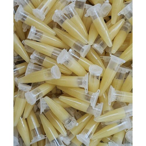 ������ ������ ������������� ����� ��� �������� ����� �� 2 ���� ����