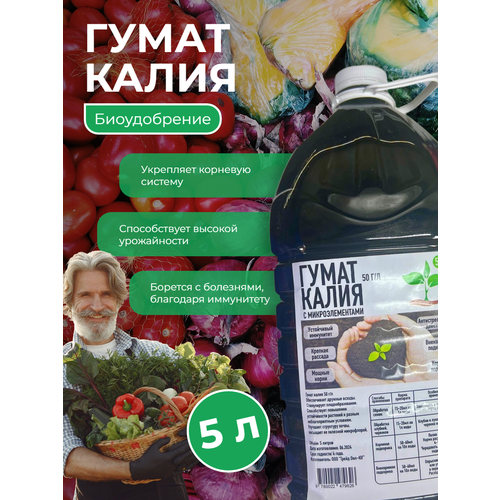 ������ ������ ����� ����� � ��������������� 50 �/� 5 ������ ����