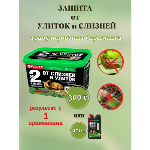 ������ ������ ����� ������� �� ������� � ������ Bona Forte, 500 �� ����