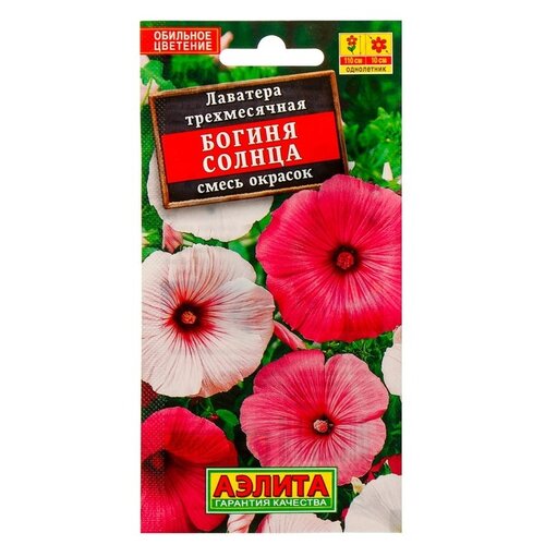 ������ ������ ������ ��������� ������ �������� ������ ������ �, 0,3 � ����