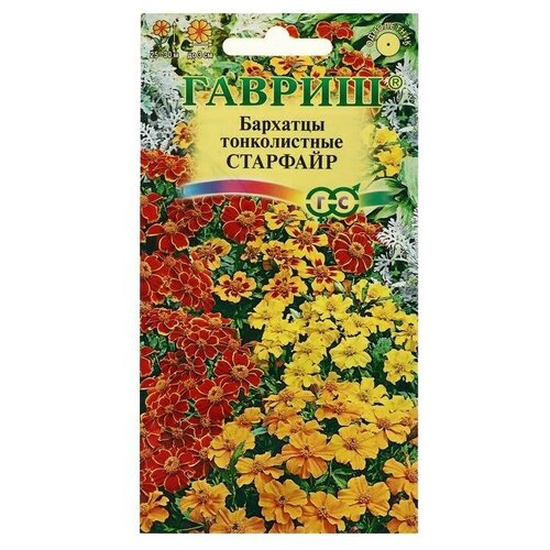 ������ ������ ������ ������ �������� '��������', ������������, �����, 0,1 � ����