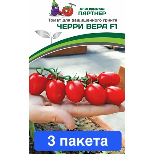 ������ ������ ������ ������ ��������� ������� 