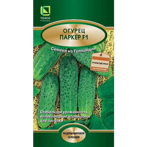 ������ ������ ������ ������ ������ F1 10�� �� ������ (�����) ����