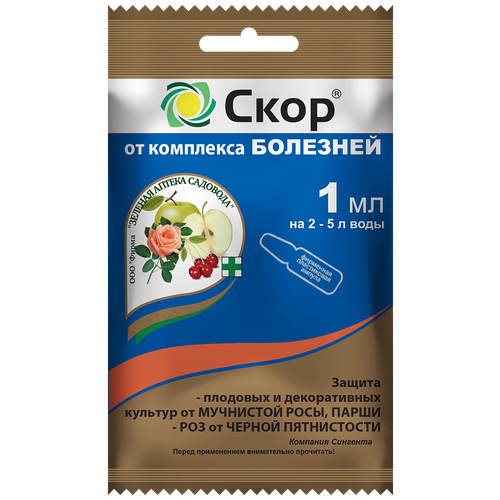 ������ ������ ������� ������ �������� �������� ��� ������ �� ��������� ����������� ����, 1 ��, 10 � ����