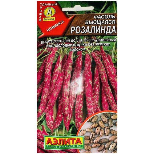 ������ ������ ������ �������� 