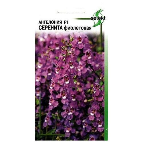 ������ ������ ��������� F1 ��������, ���������� , 3 ����� ����