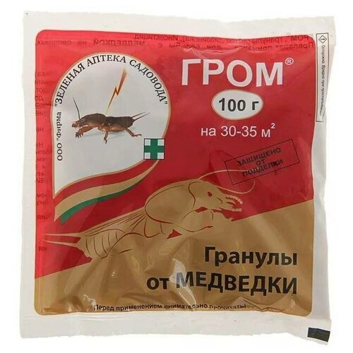 ������ ������ �� ���������� ���� 100� ����