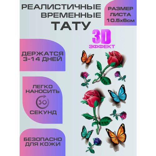 ������ ������ ���� ���������� ��������������, ��������� ���� � 3D �������� ����